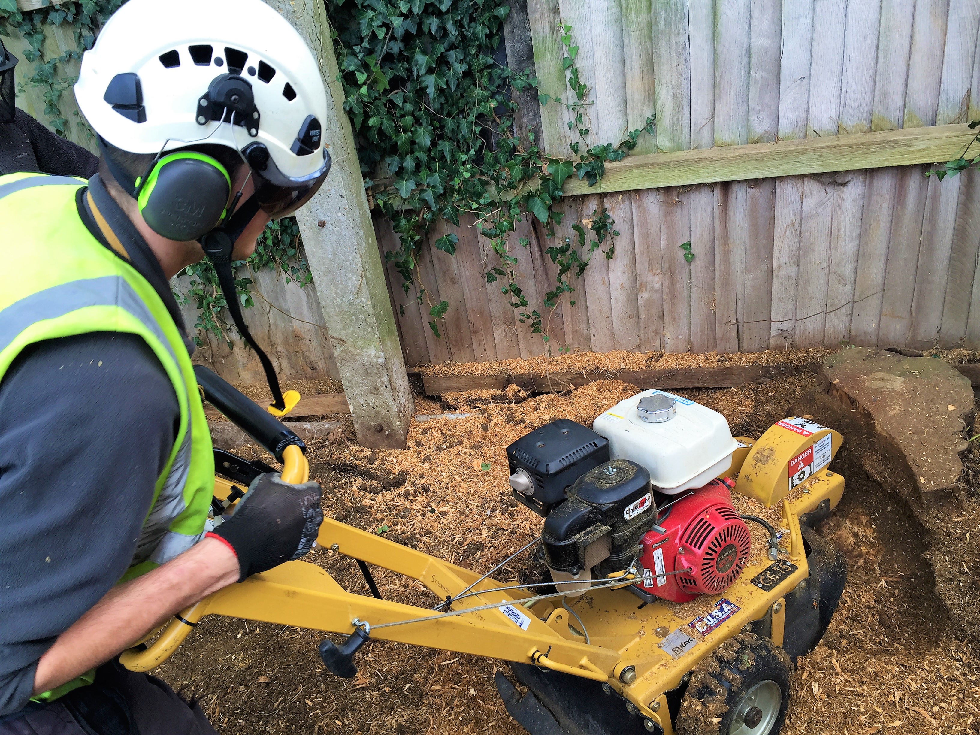 Dorset Treeworx Ltd | Tree and hedge stump grinding removal service to remove those unwanted tree stumps by stump grinding - tree removal, tree felling, tree cut down, tree felling services