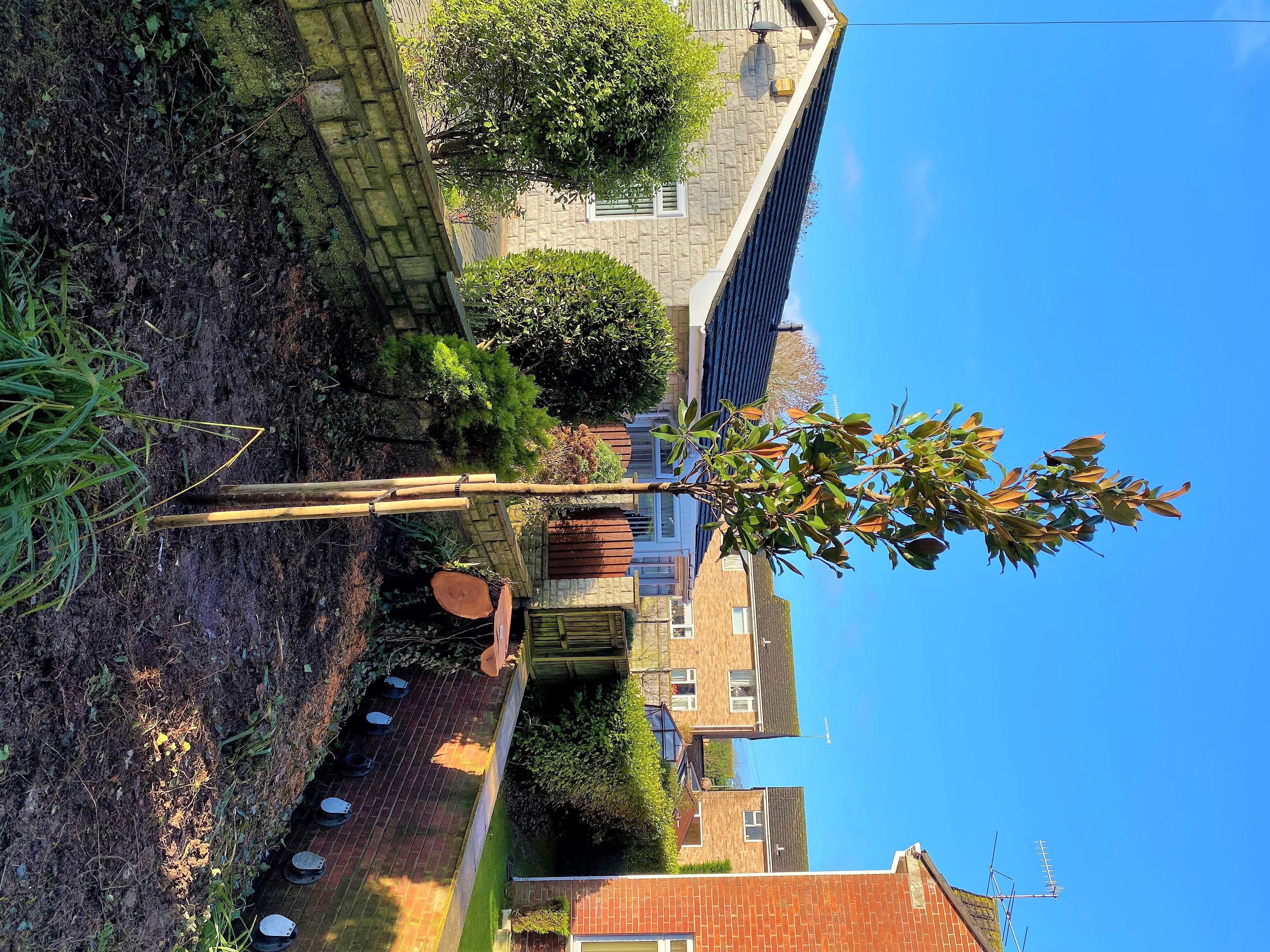 Dorset Treeworx | Tree & hedge planting services in Weymouth, Portland, Dorchester in South Dorset