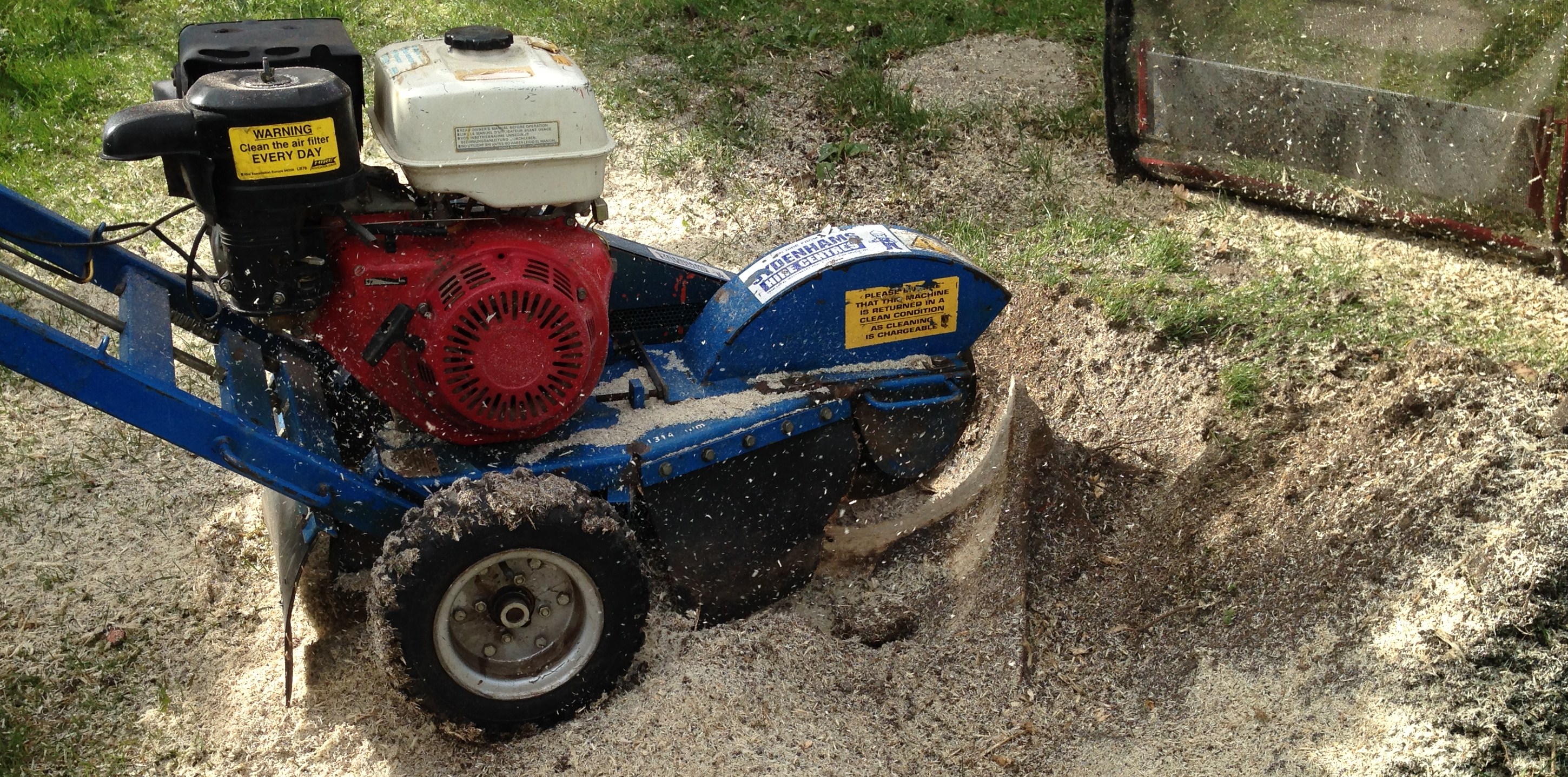 Tree stump grinding tree stump removal Weymouth, Portland, Dorchester in Dorset