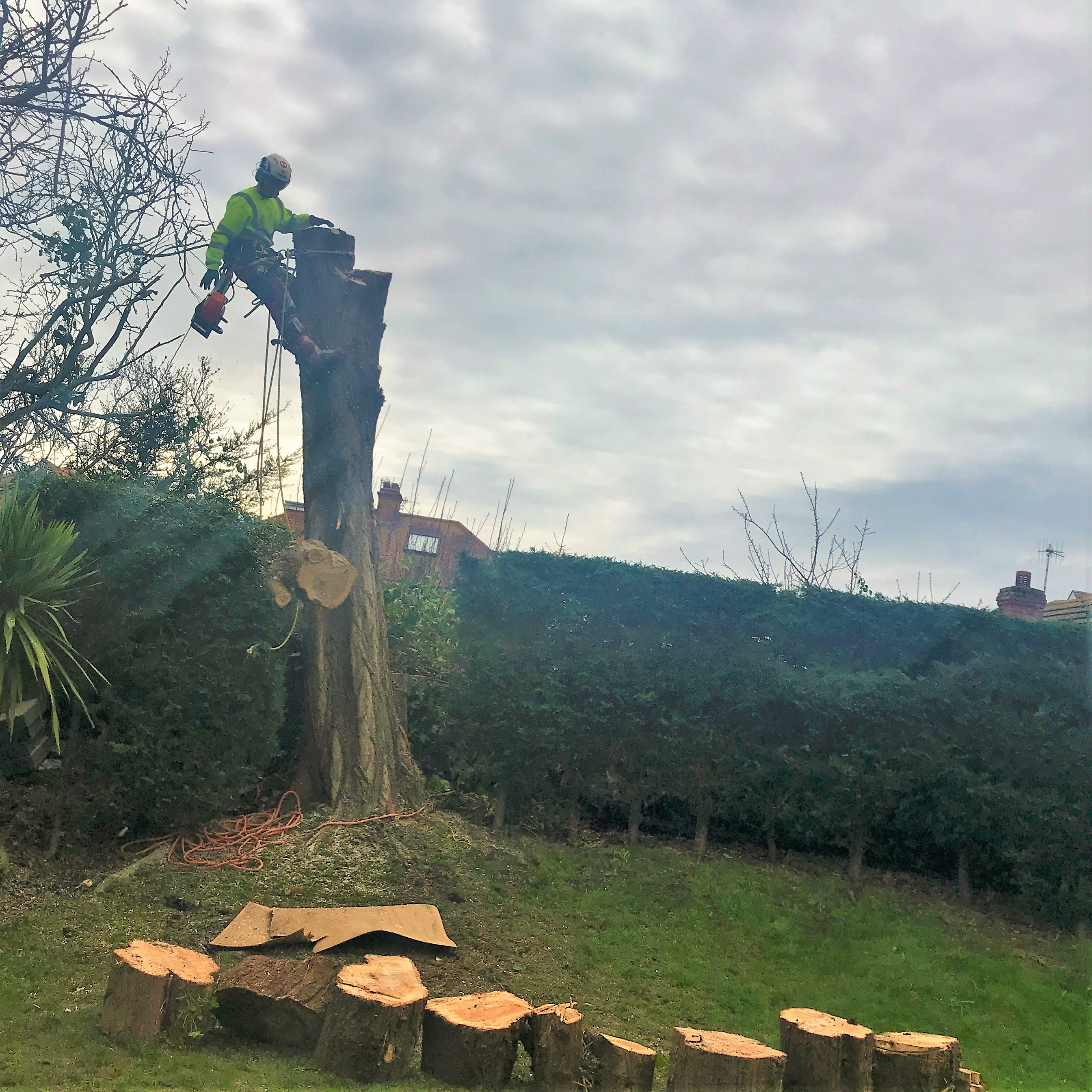 Emergency tree surgeons Dorset Treeworx Ltd covering Weymouth, Dorchester, Portland, Dorset - making safe trees that have broken and hanging branches, split trees, wind damage and clearing fallen and uprooted trees.