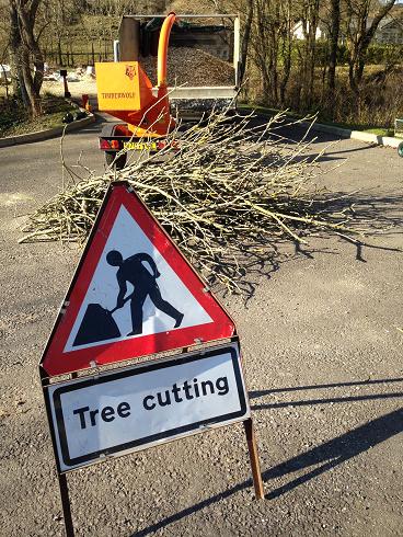 Dorset Treeworx Ltd | Health & Safety in tree maintenance and grounds maintenance - method statement and risk assessment documentation