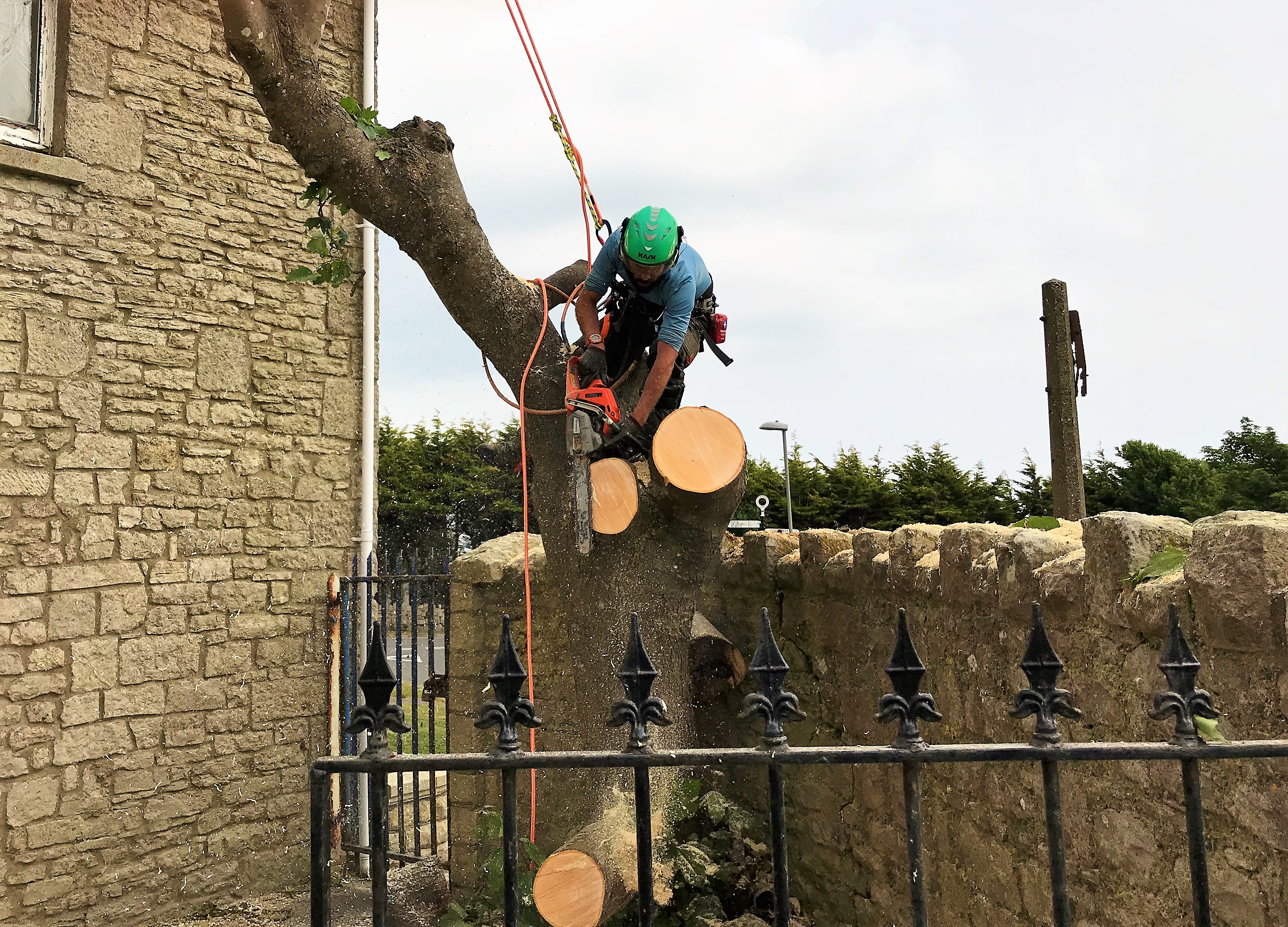 Weymouth Tree Surgeon | Tree services in Weymouth, Portland, Dorchester in south Dorset - Weymouth tree services, Dorchester Tree Services, Tree services in Portland, Dorset  - Tree Care, Tree Removal, Emergency tree services, Hedge Cutting / Trimming, Stump Grinding, Garden Maintenance, Garden Clearance Service.