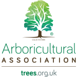 Dorset Treeworx Ltd | Arboricultural association member Tree surgery team Weymouth, Dorchester, Portland, Dorset