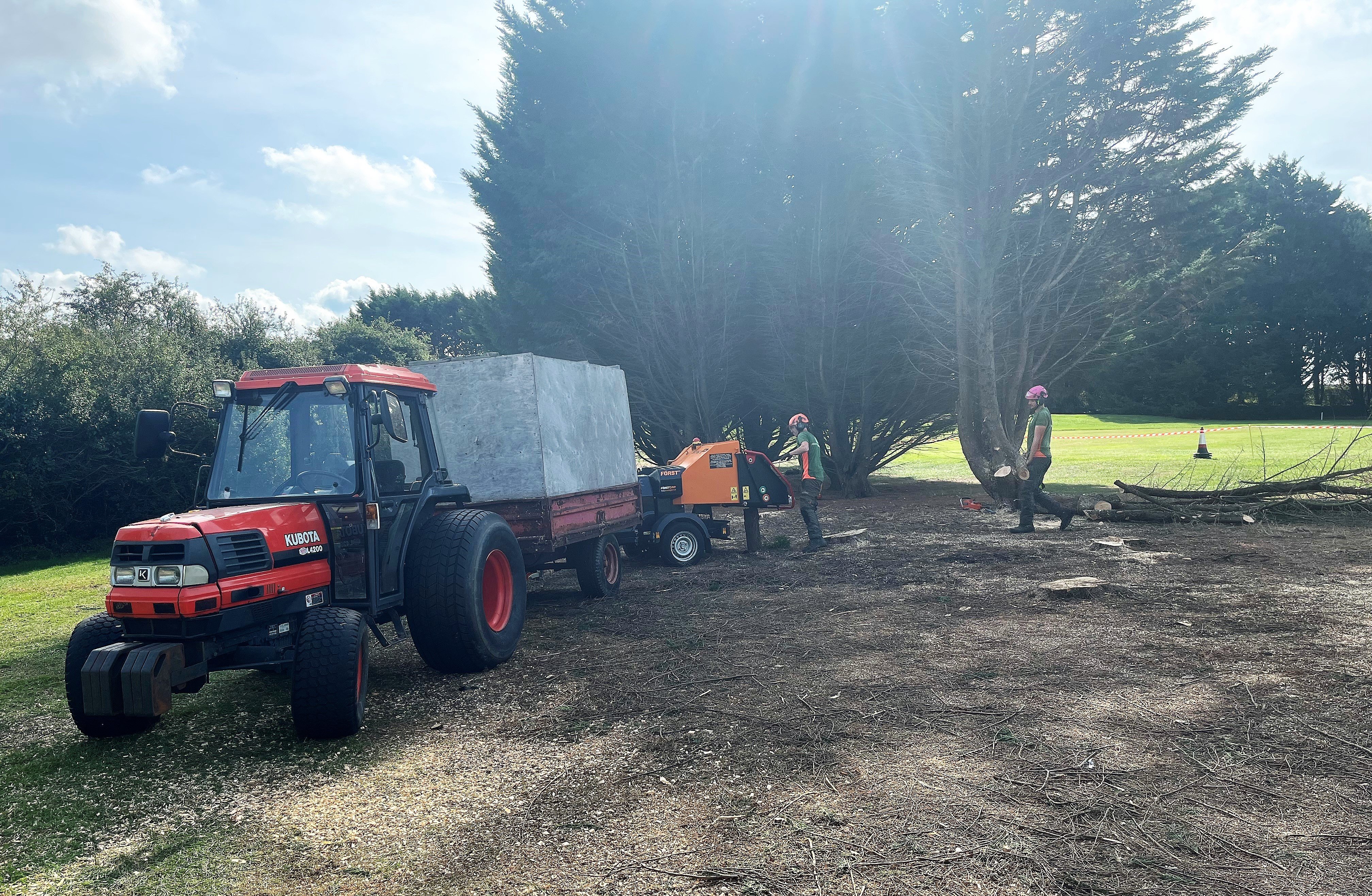 Dorset Treeworx Ltd | Commercial tree felling in Weymouth, Dorchester, Portland in Dorset - tree removal, tree cutting, tree felling services